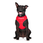 Dexil Friendly Dog Collars Red DO NOT PET Medium adjustable Vest Harness