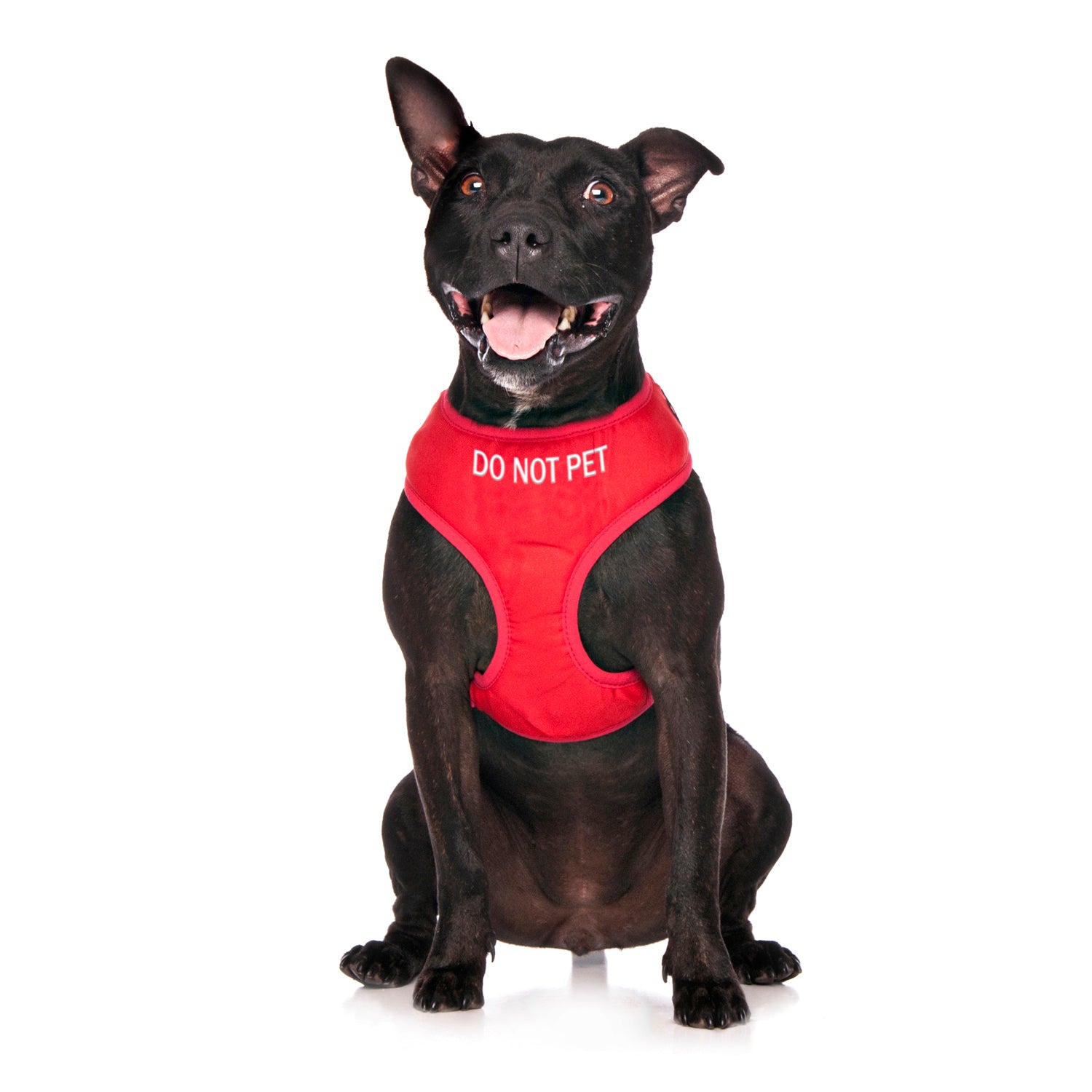 Dexil Friendly Dog Collars Red DO NOT PET Medium adjustable Vest Harness