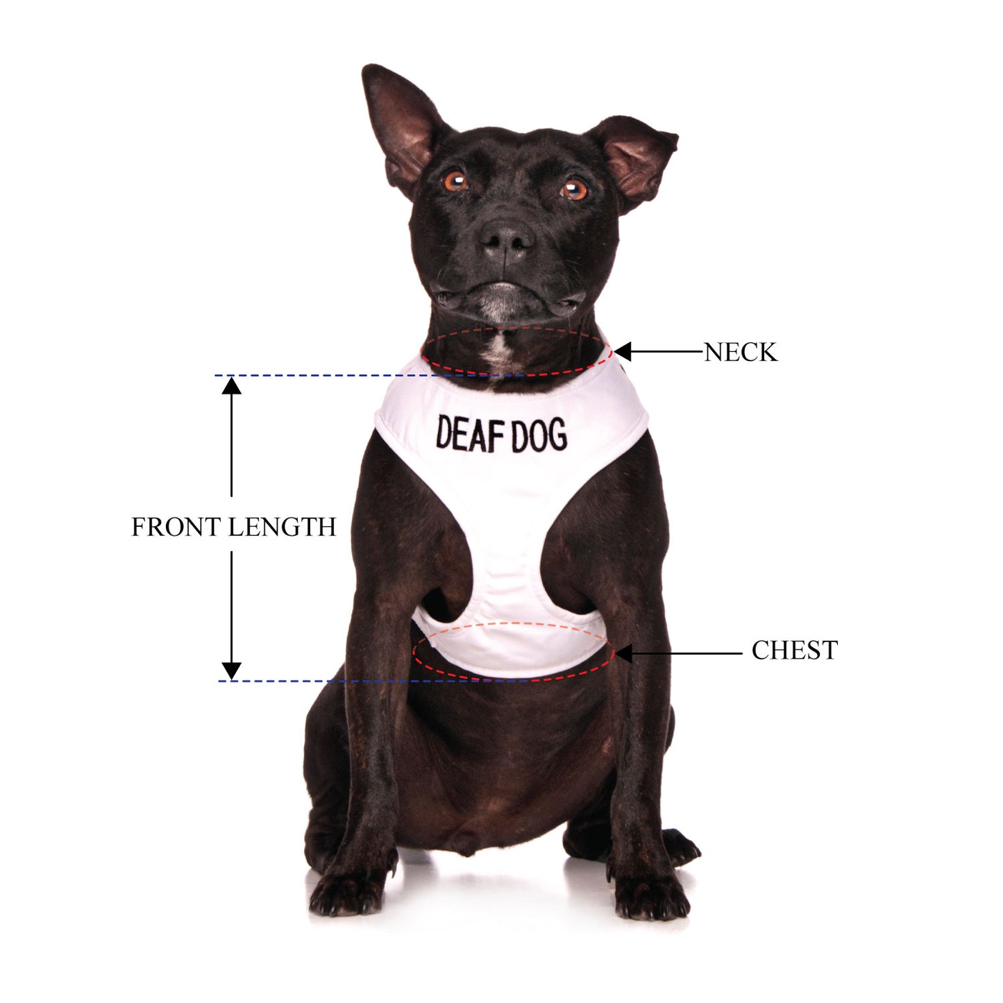 DEAF DOG - Medium adjustable Vest Harness
