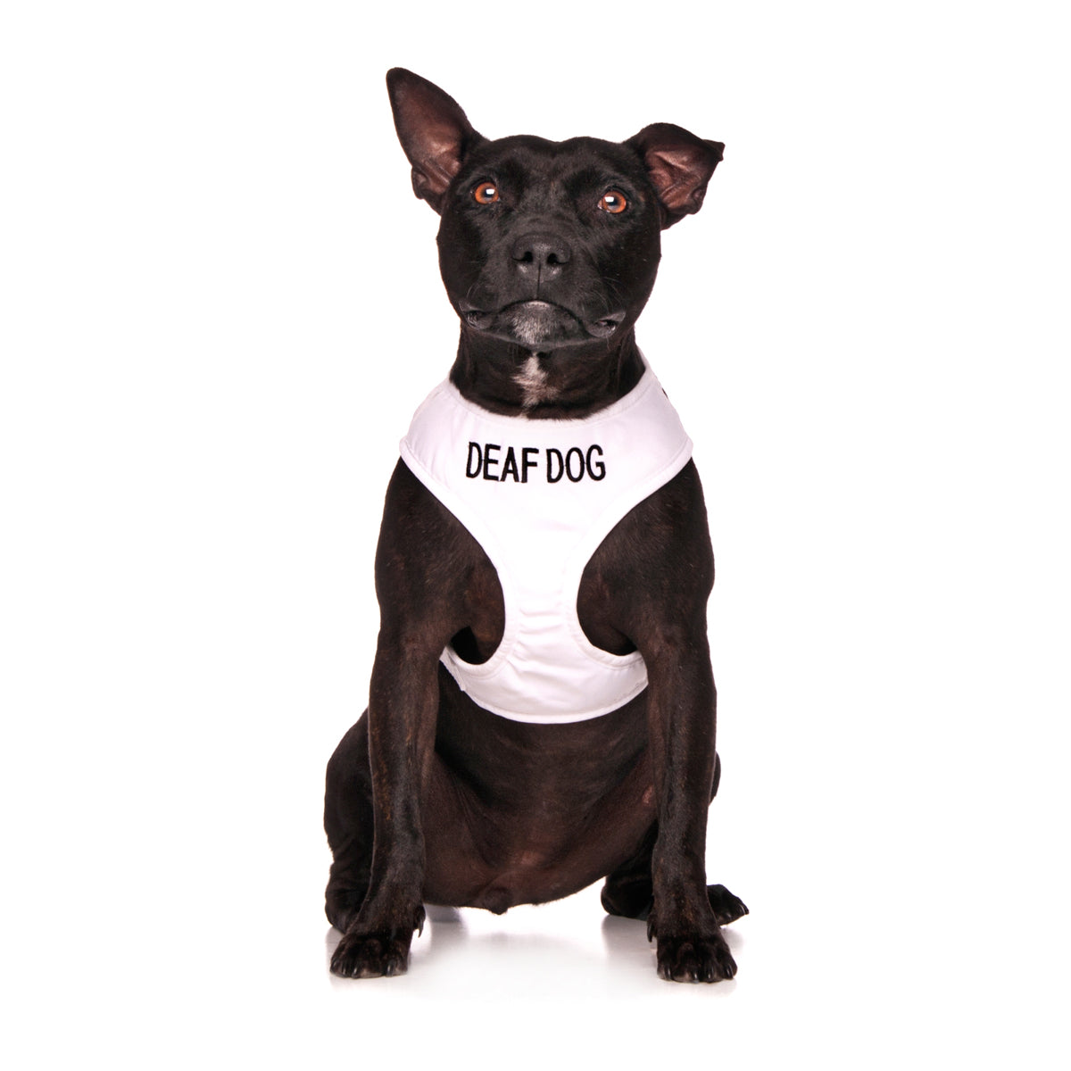 Dexil Friendly Dog Collars DEAF DOG Medium Vest Harness