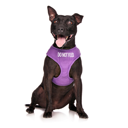Dexil Friendly Dog Collars DO NOT FEED Medium Vest Harness
