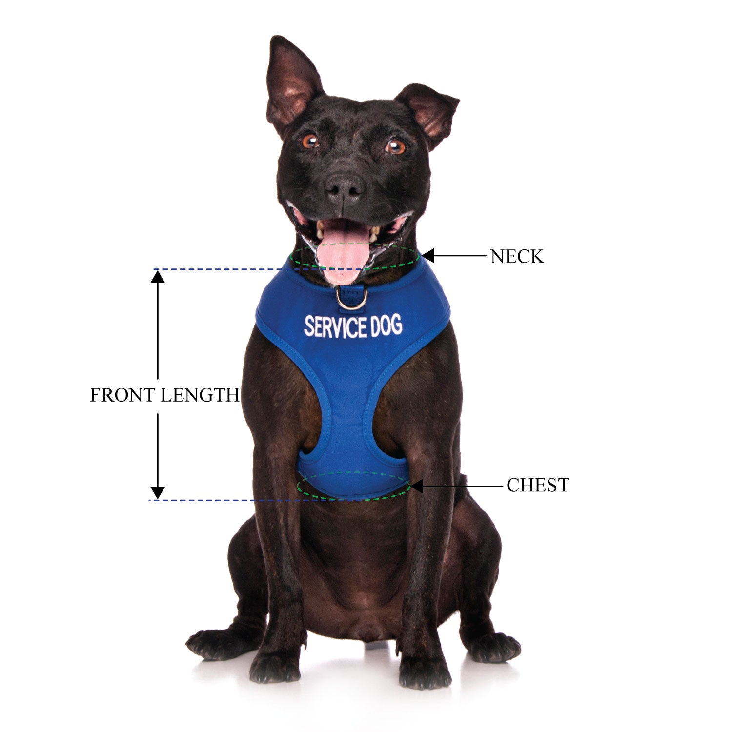 SERVICE DOG - Medium adjustable Vest Harness