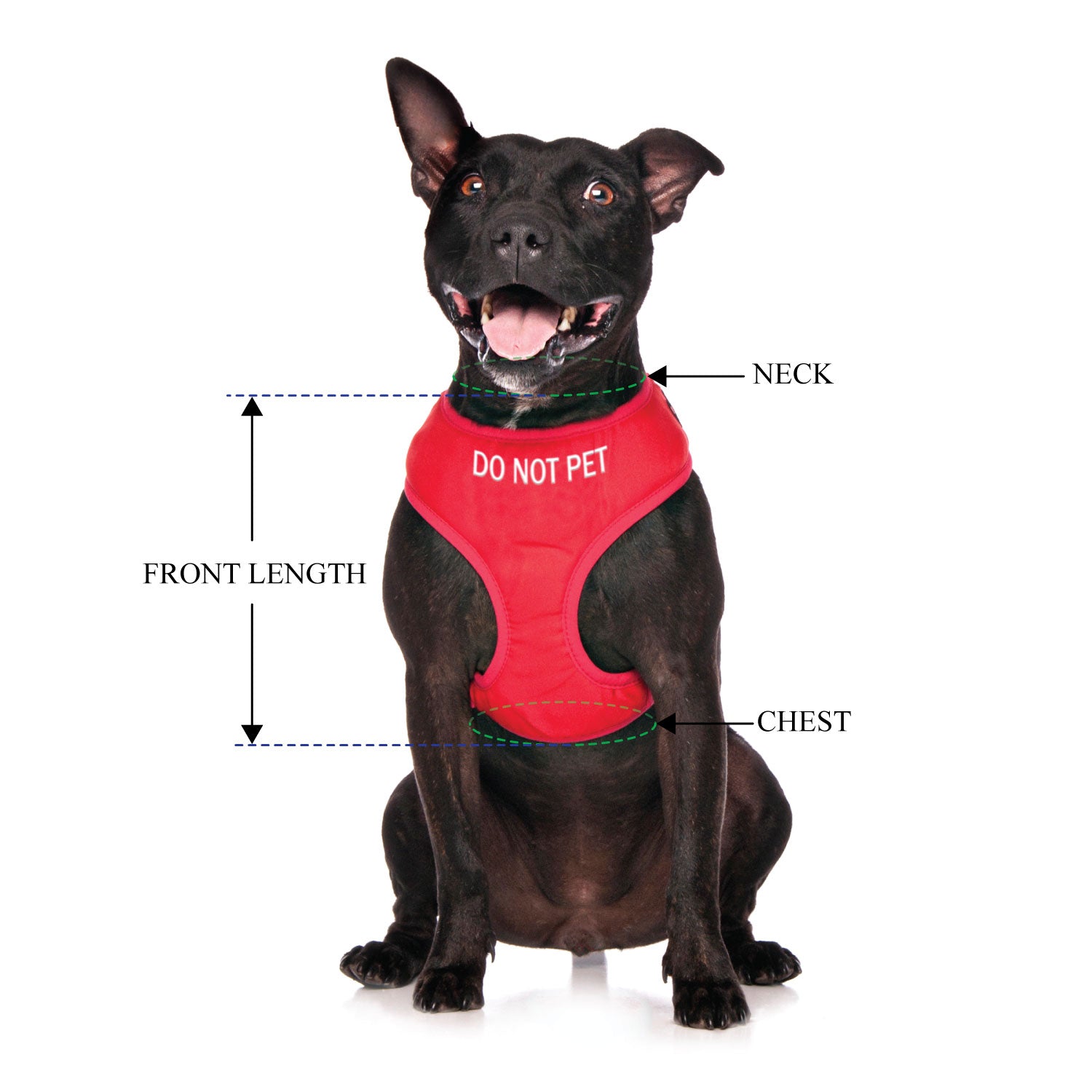 DO NOT PET - Medium adjustable Vest Harness