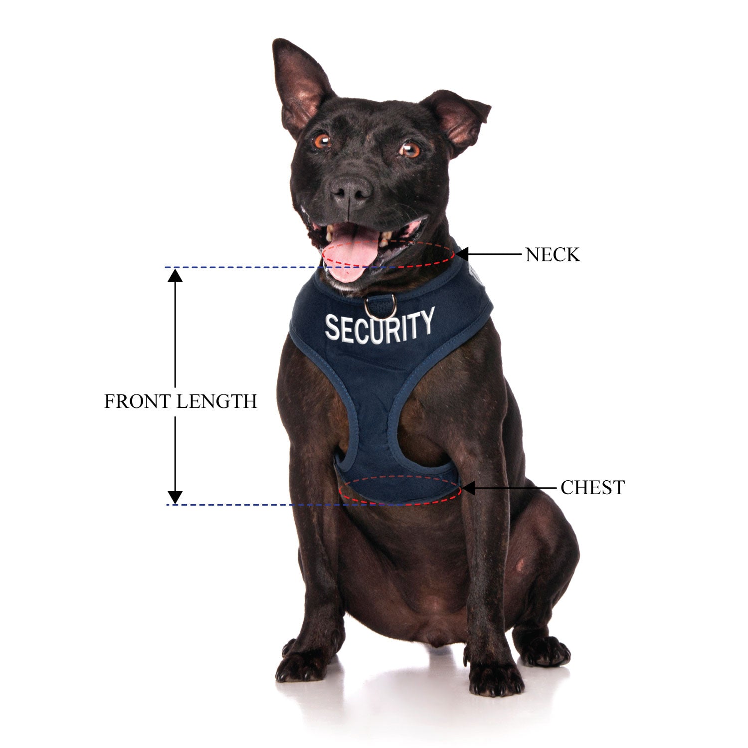 SECURITY - Medium adjustable Vest Harness