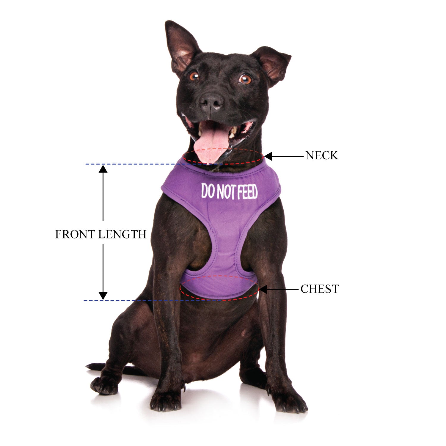 DO NOT FEED - Medium adjustable Vest Harness