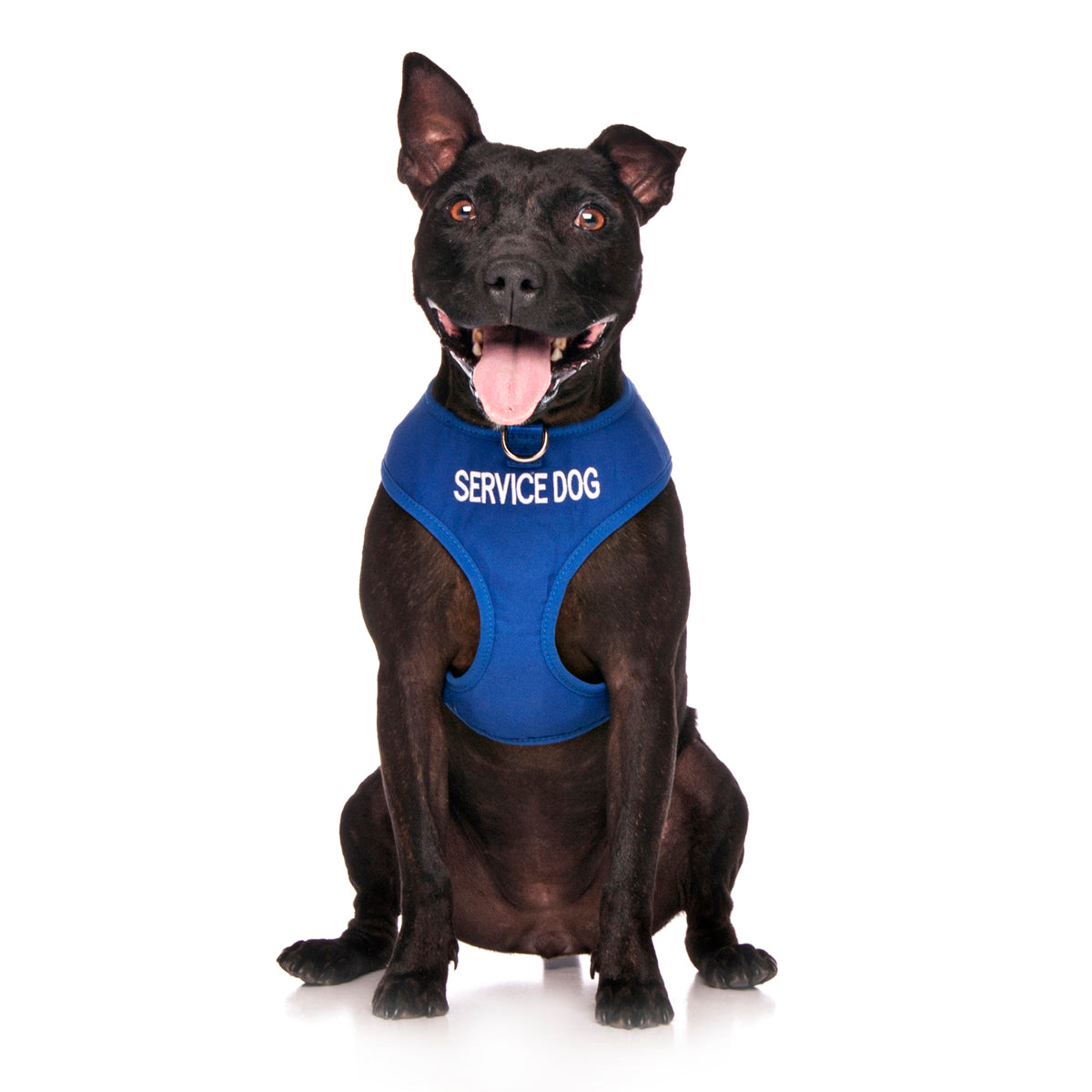 Dexil Friendly Dog Collars SERVICE DOG Medium Vest Harness