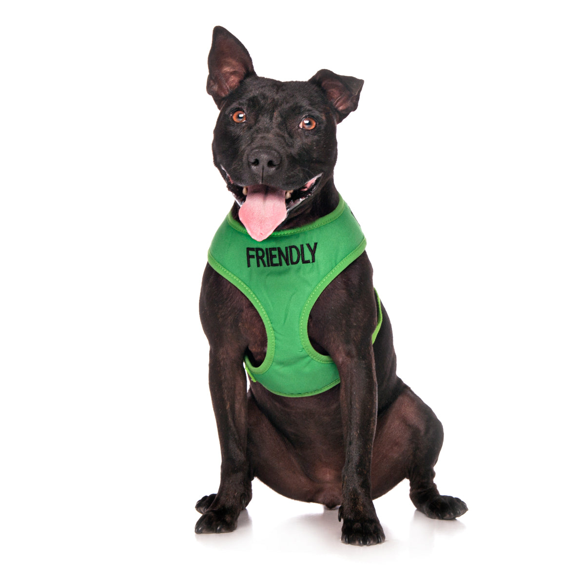 Friendly Dog Collars Green FRIENDLY Medium Vest Harness