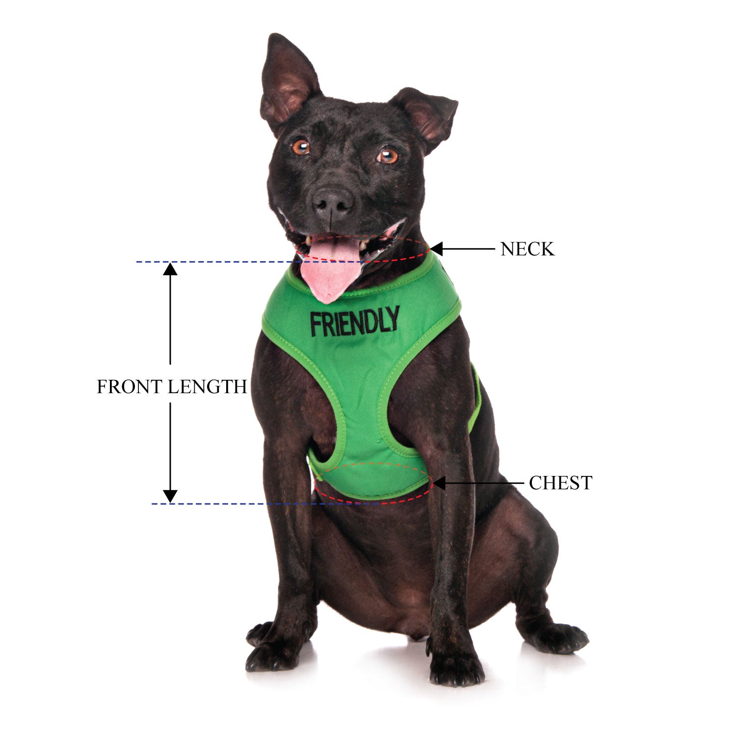 Friendly Dog Collars Green FRIENDLY Medium Vest Harness