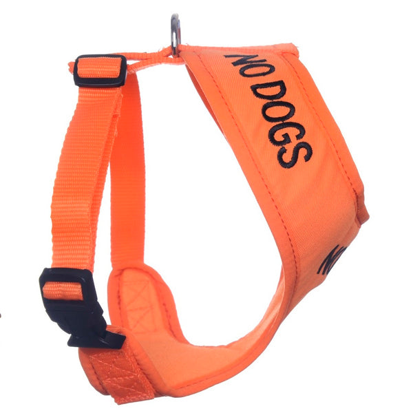 Dexil Friendly Dog Collars Orange NO DOGS Large Adjustable Vest Harness