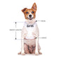 DEAF DOG - Small adjustable Vest Harness