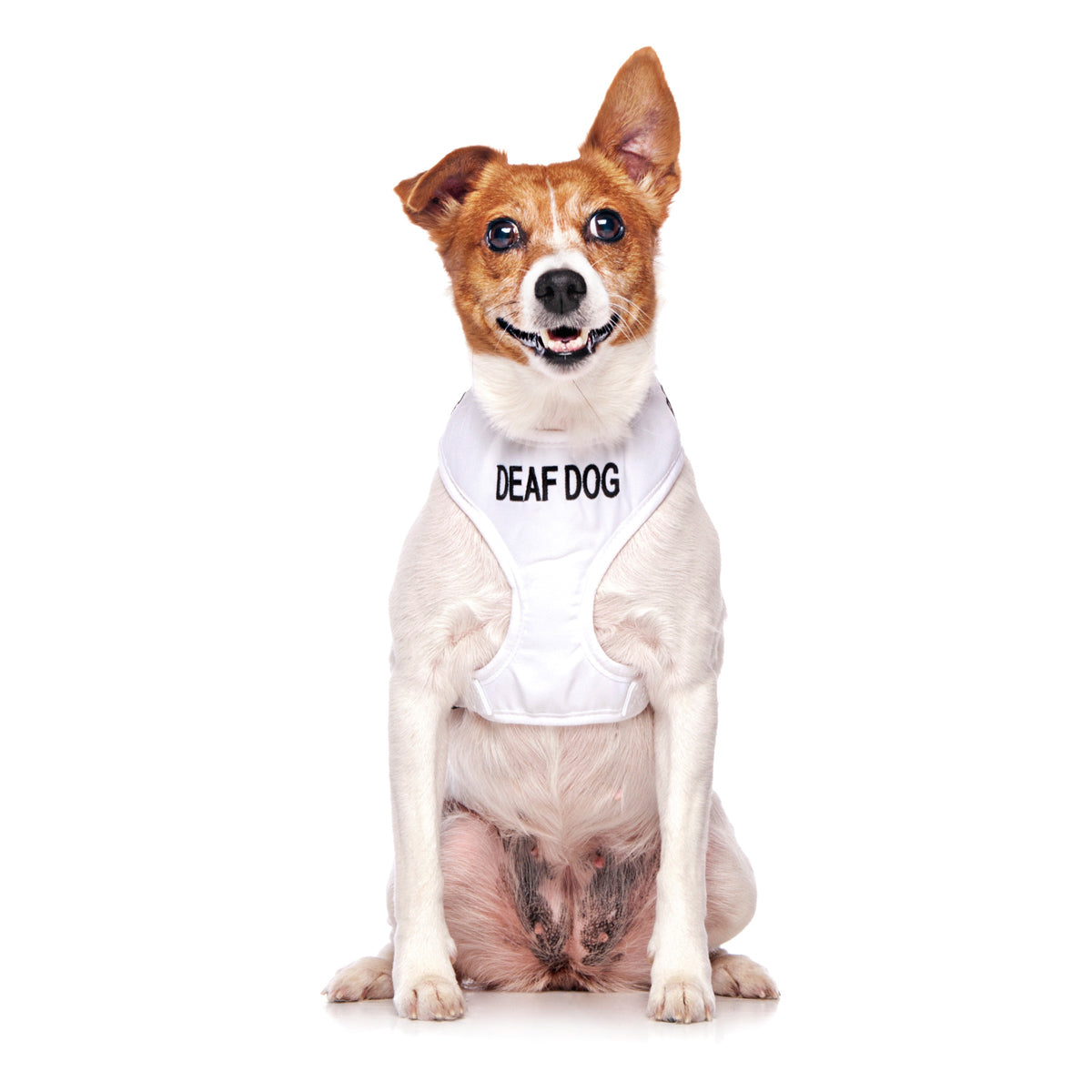 Friendly Dog Collars DEAF DOG Small Vest Harness