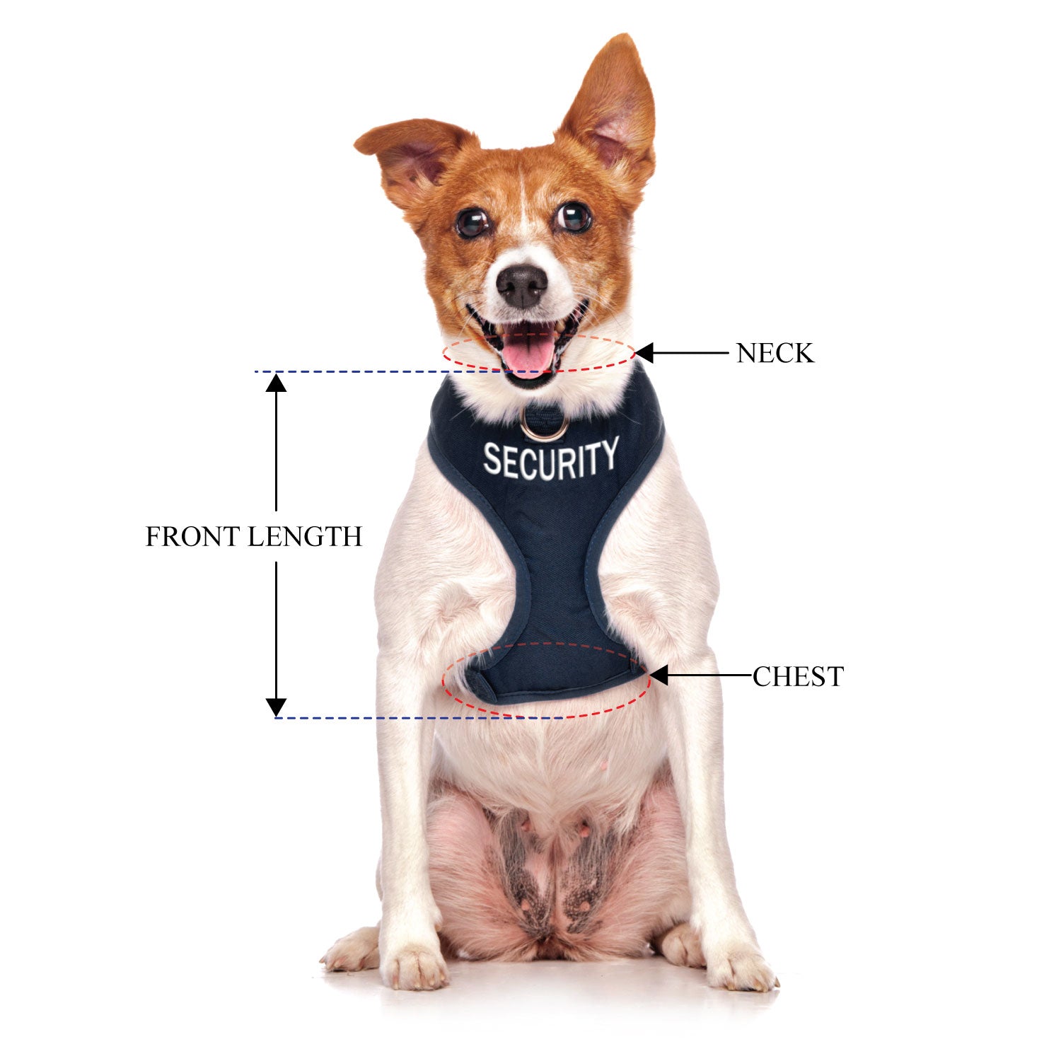 SECURITY - Small adjustable Vest Harness