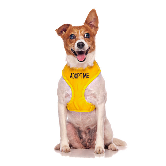 Dexil Friendly Dog Collars ADOPT ME Small Vest Harness