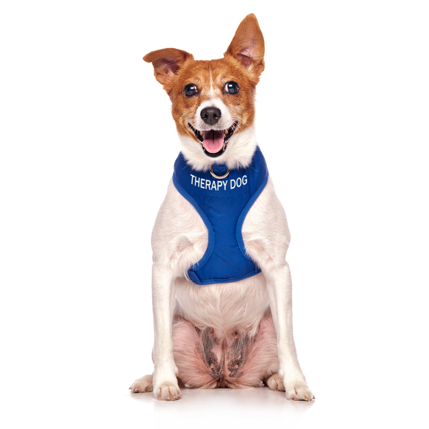 Dexil Friendly Dog Collars THERAPY DOG Small Vest Harness