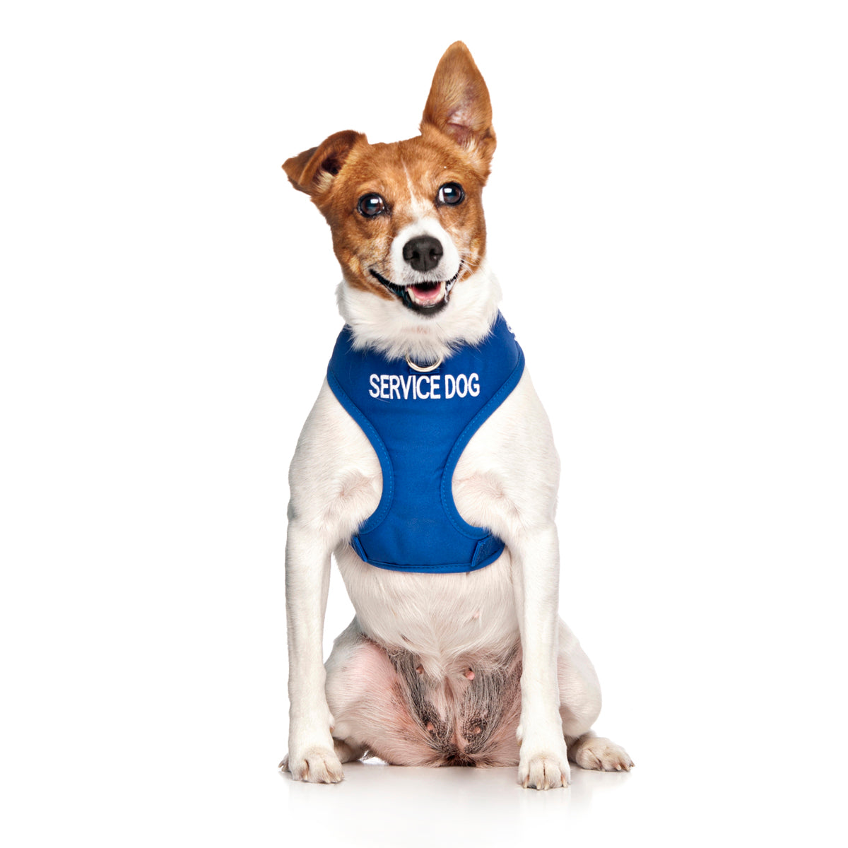 Dexil Friendly Dog Collars SERVICE DOG Small Vest Harness