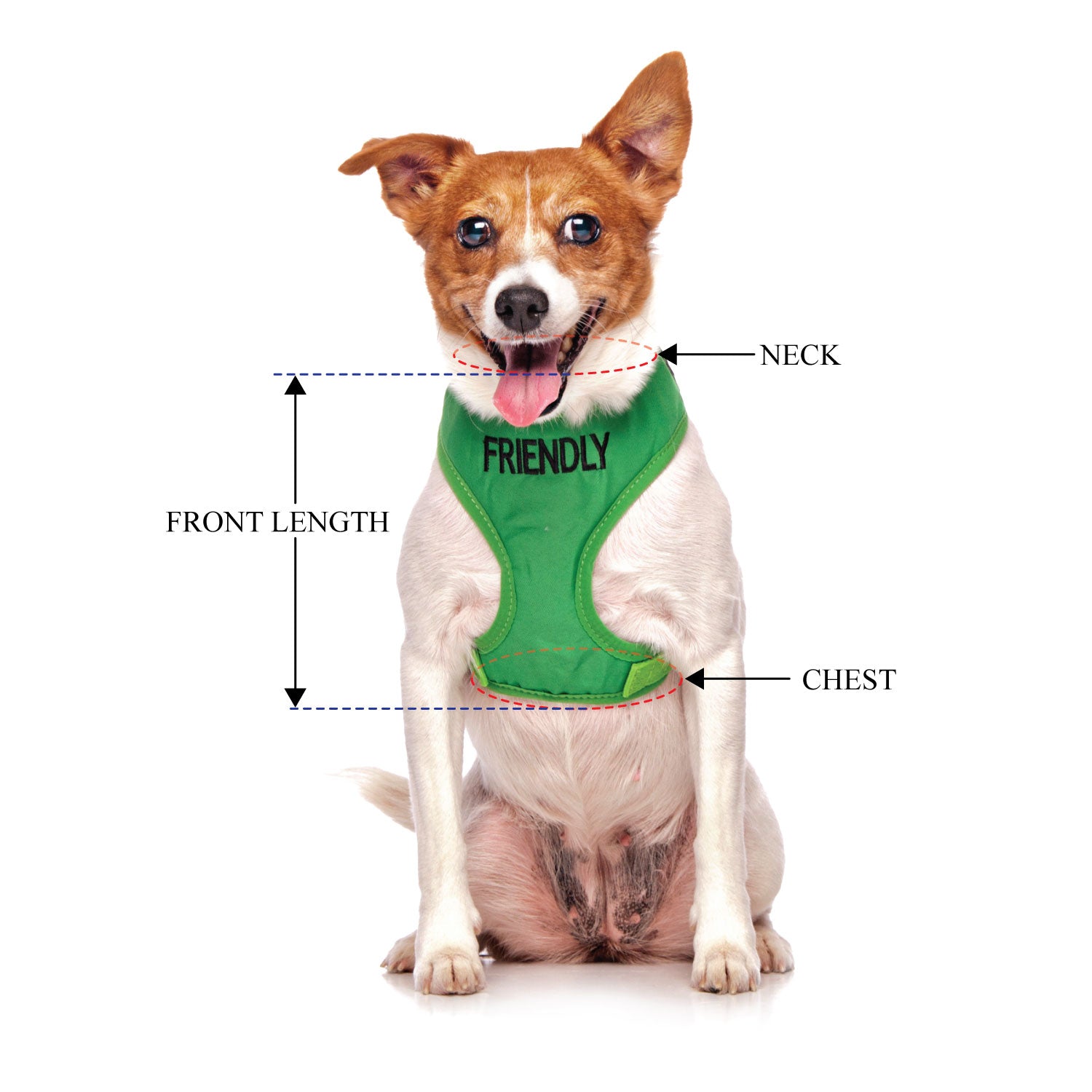 Dexil Friendly Dog Collars Green FRIENDLY Small Vest Harness