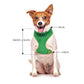 Dexil Friendly Dog Collars Green FRIENDLY Small Vest Harness