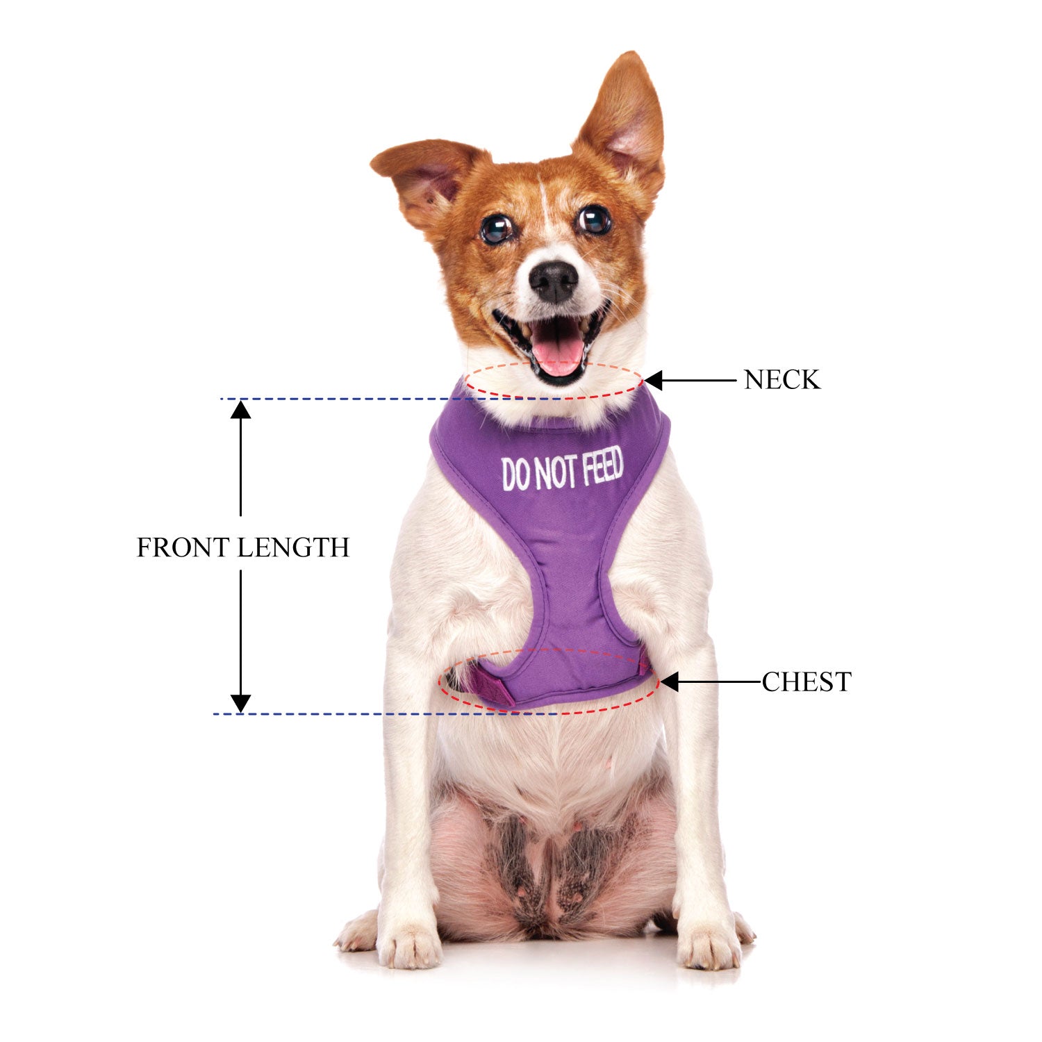 DO NOT FEED - Small adjustable Vest Harness