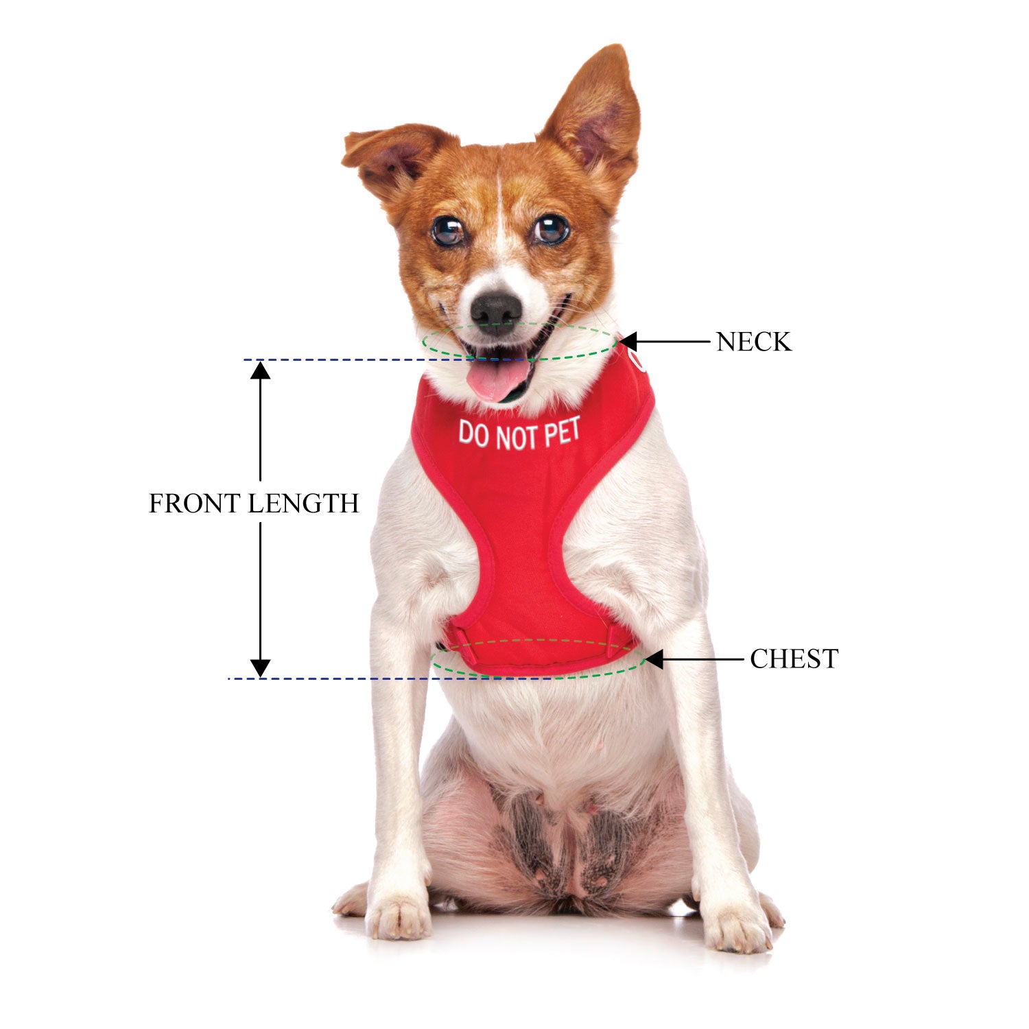 DO NOT PET - Small adjustable Vest Harness