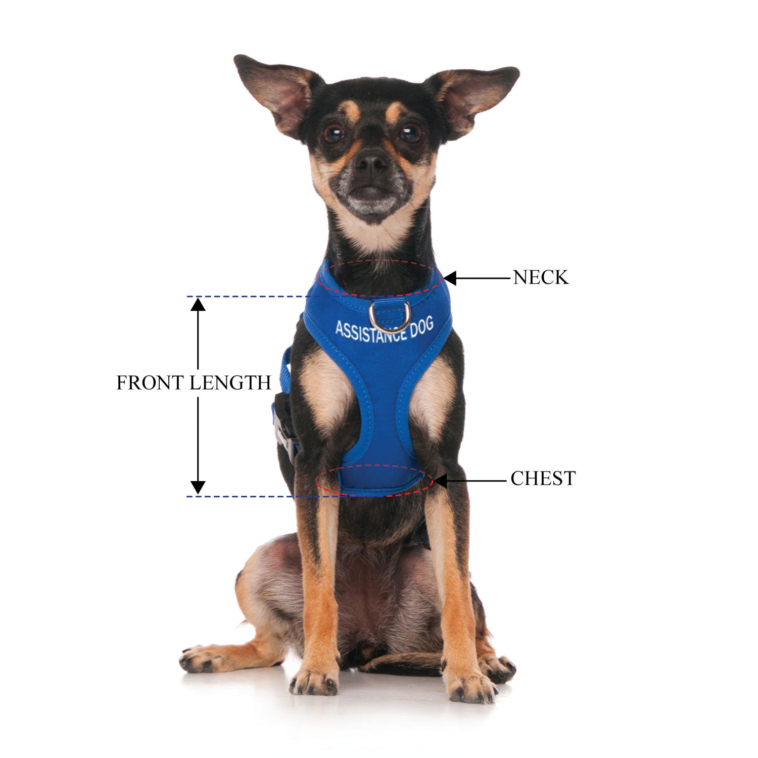 ASSISTANCE DOG - XS adjustable Vest Harness