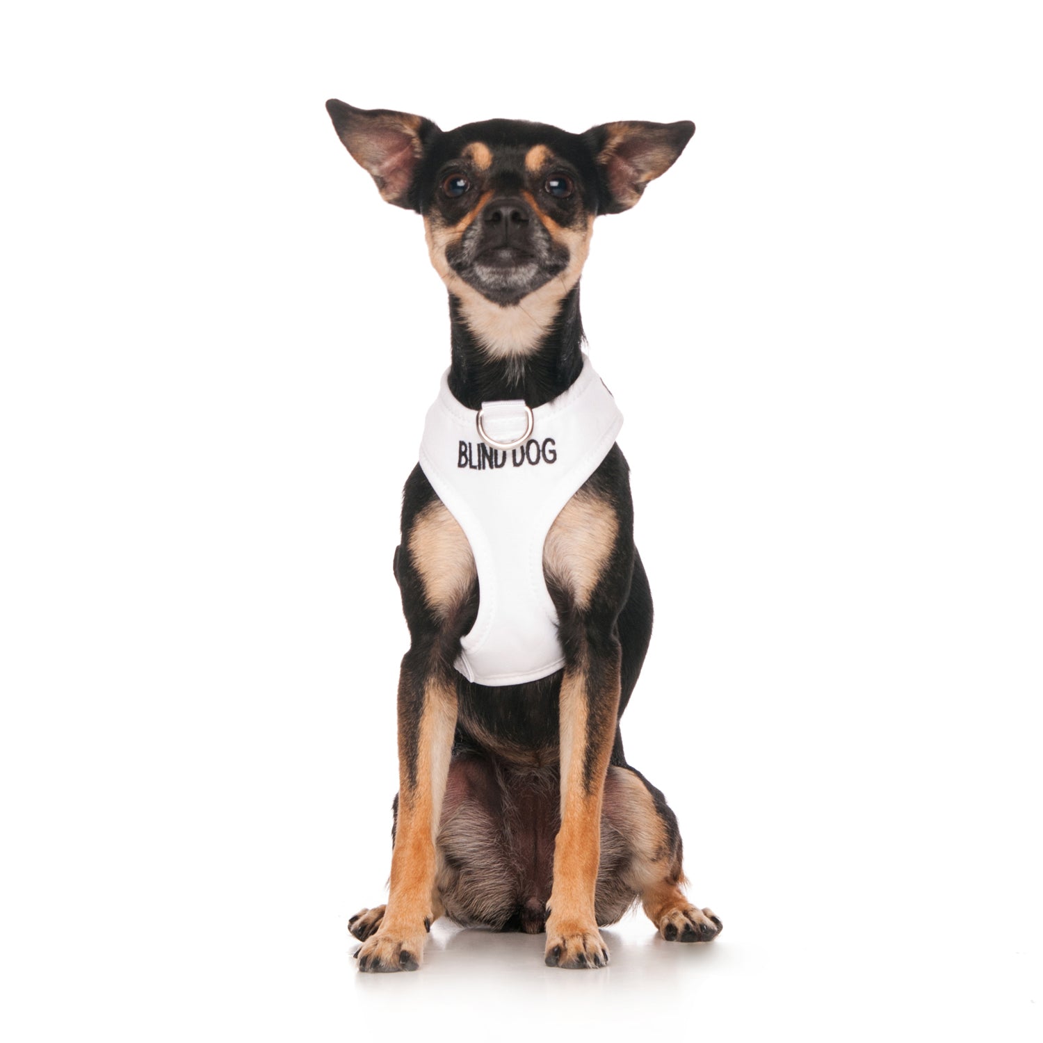 Dexil Friendly Dog Collars BLIND DOG XS Vest Harness