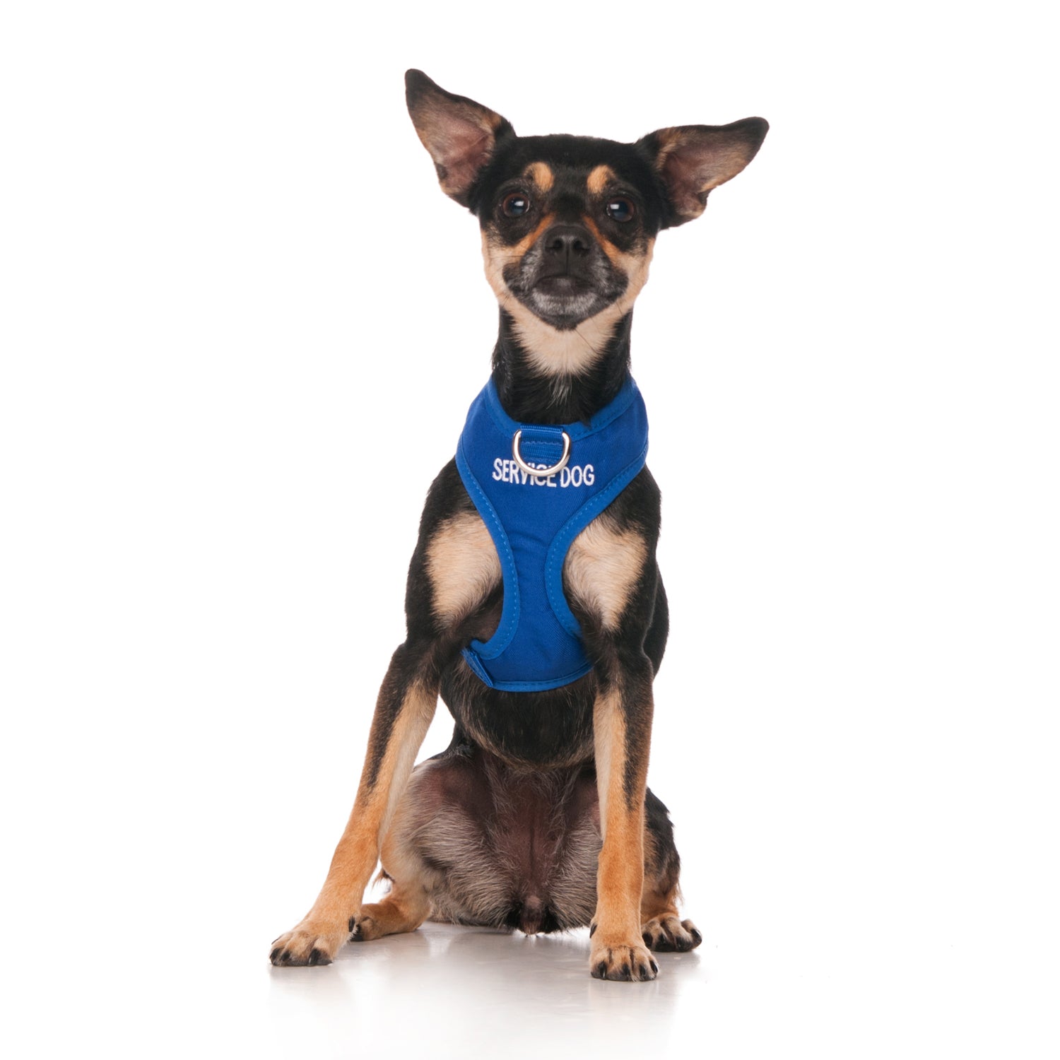 Dexil Friendly Dog Collars SERVICE DOG XS Vest Harness
