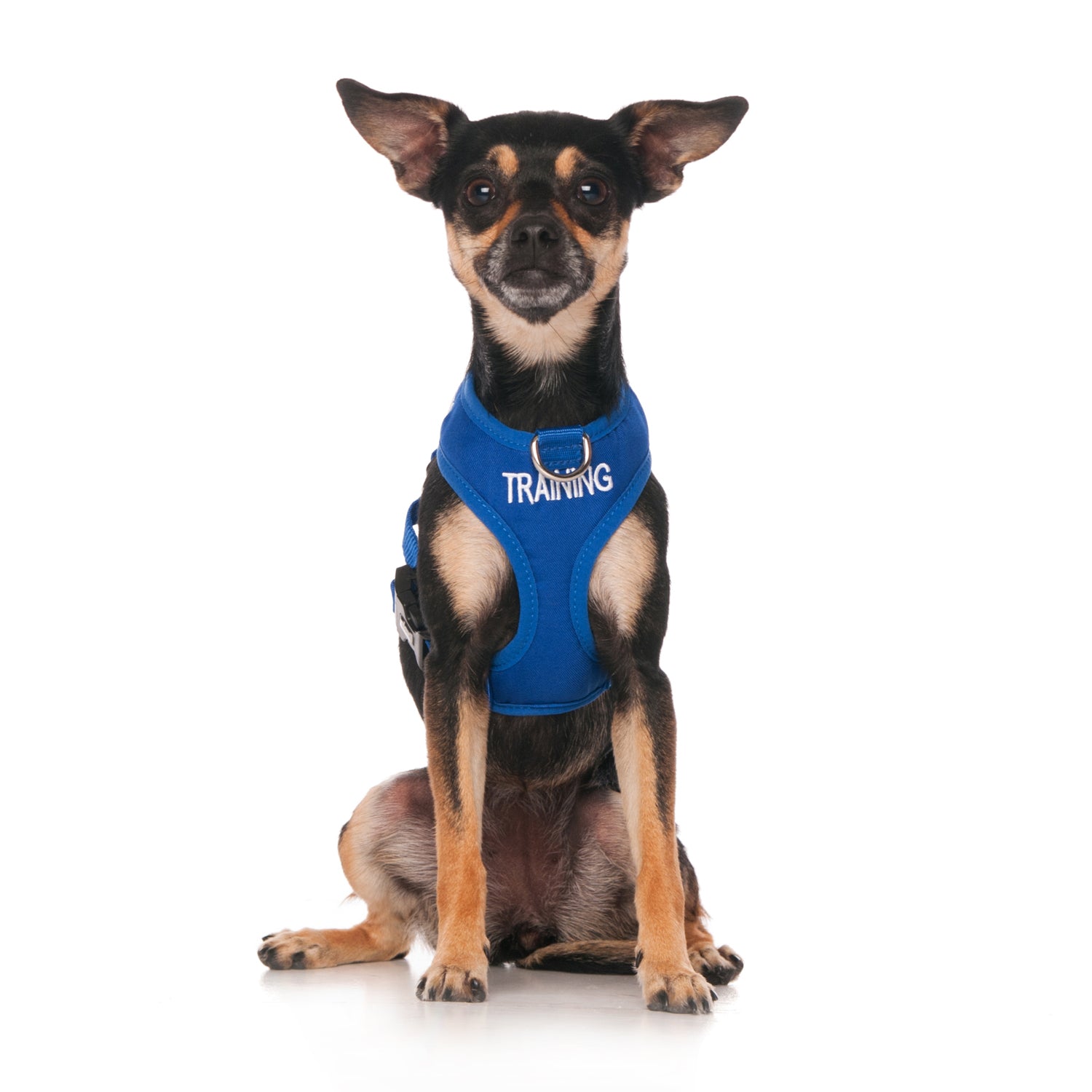 Friendly Dog Collars TRAINING XS Vest HarnessDexil Friendly Dog Collars Blue TRAINING XS adjustable Vest Harness