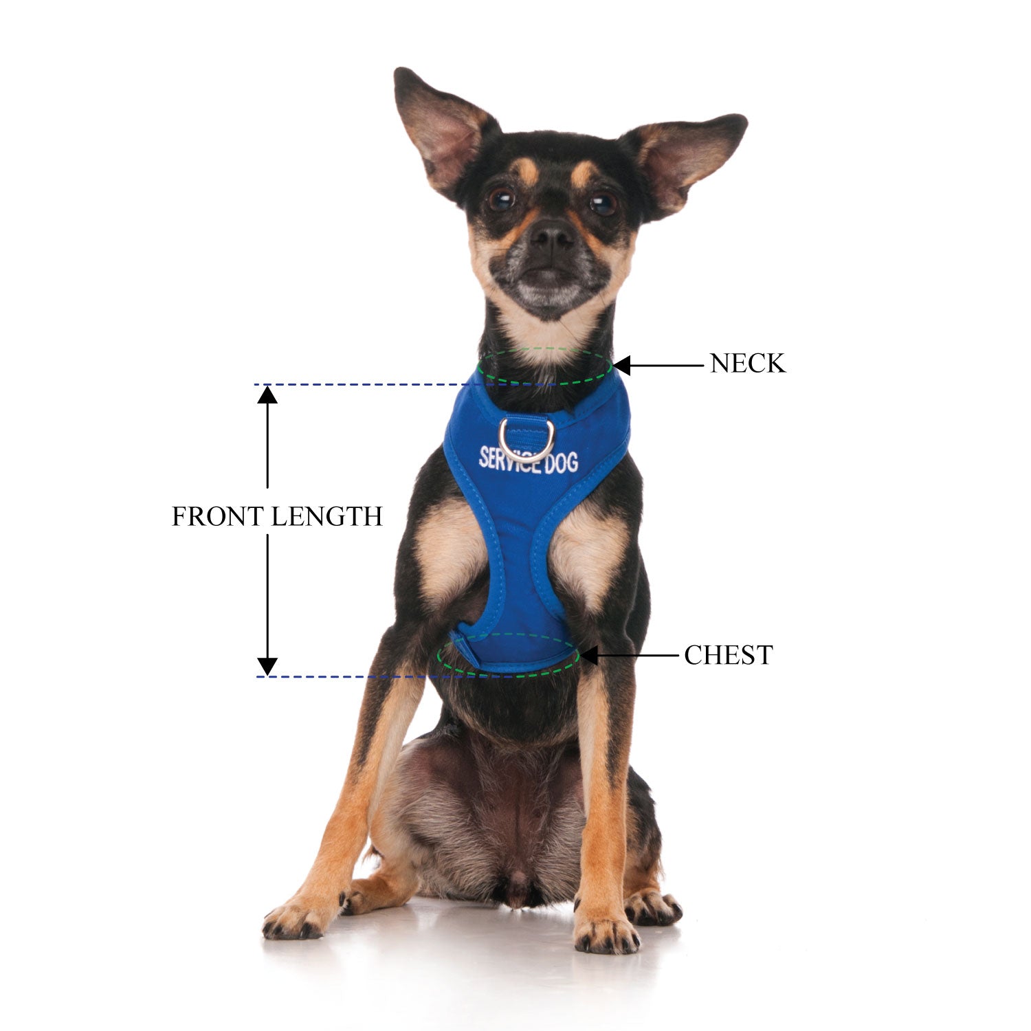 SERVICE DOG - XS adjustable Vest Harness