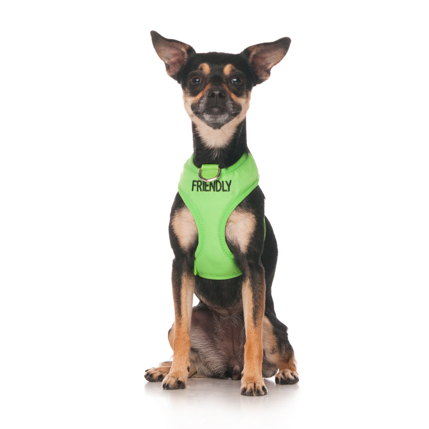 Friendly Dog Collars Green FRIENDLY XS Vest Harness