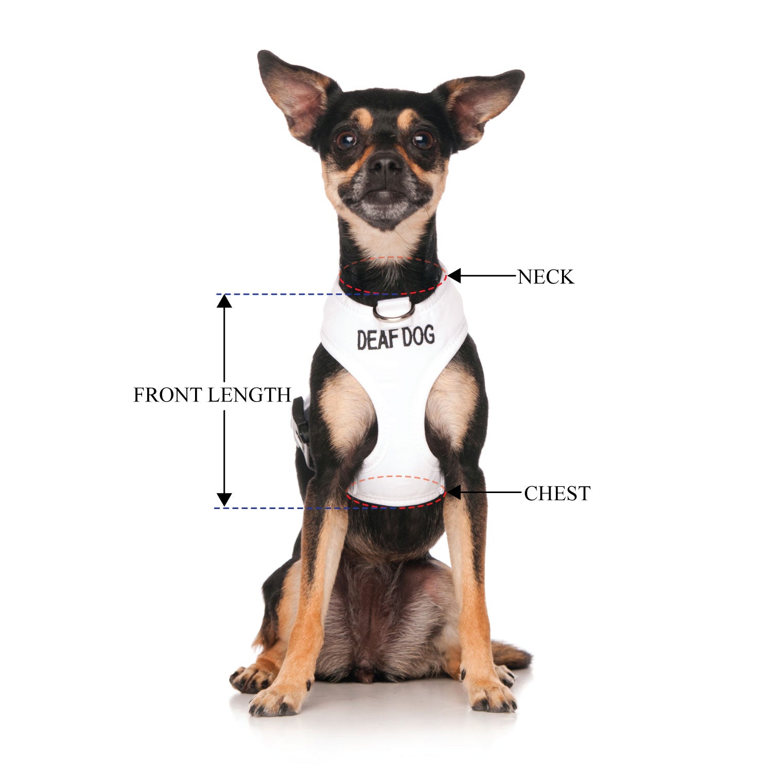 DEAF DOG - XS adjustable Vest Harness