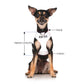 DEAF DOG - XS adjustable Vest Harness