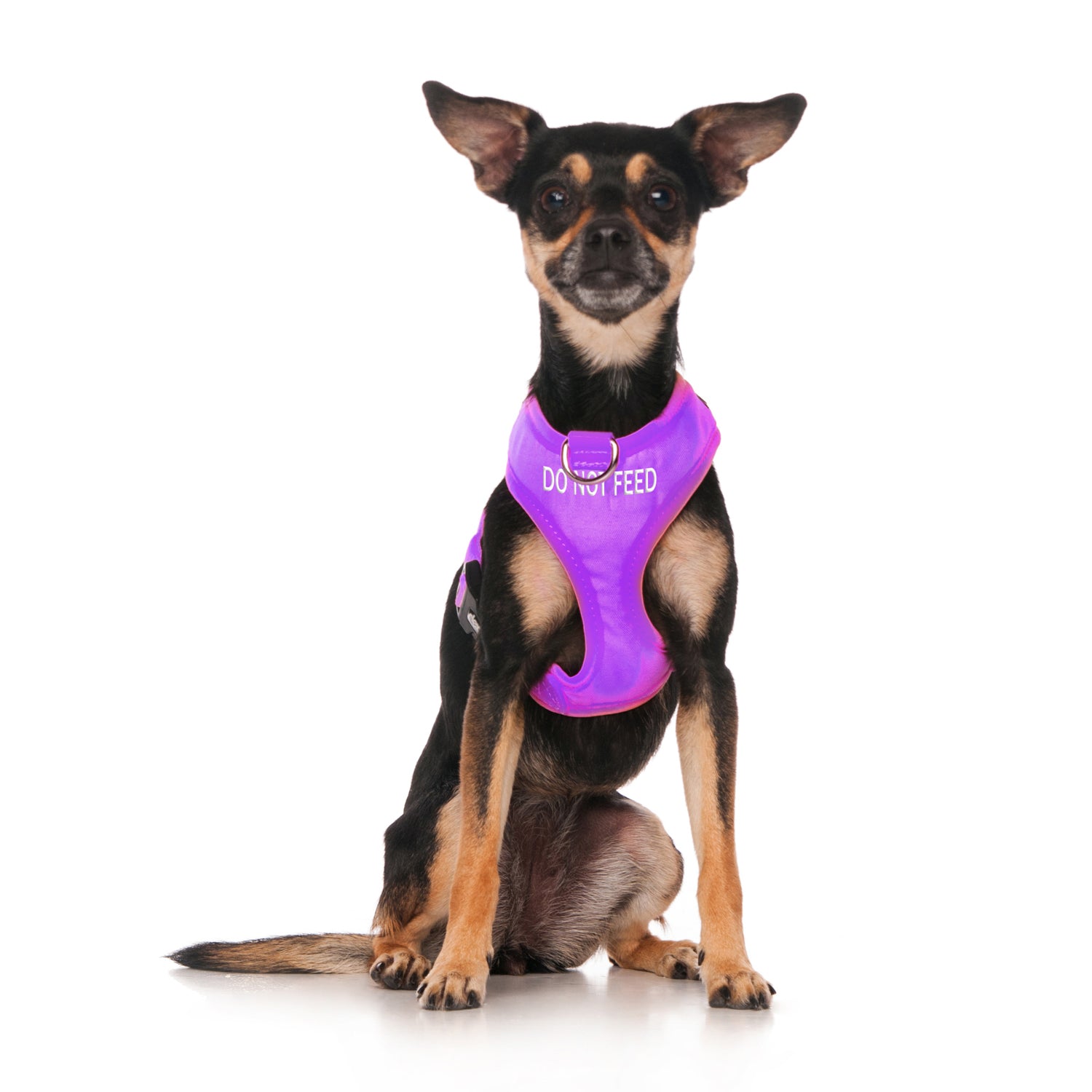 Dexil Friendly Dog Collars DO NOT FEED XS Vest Harness