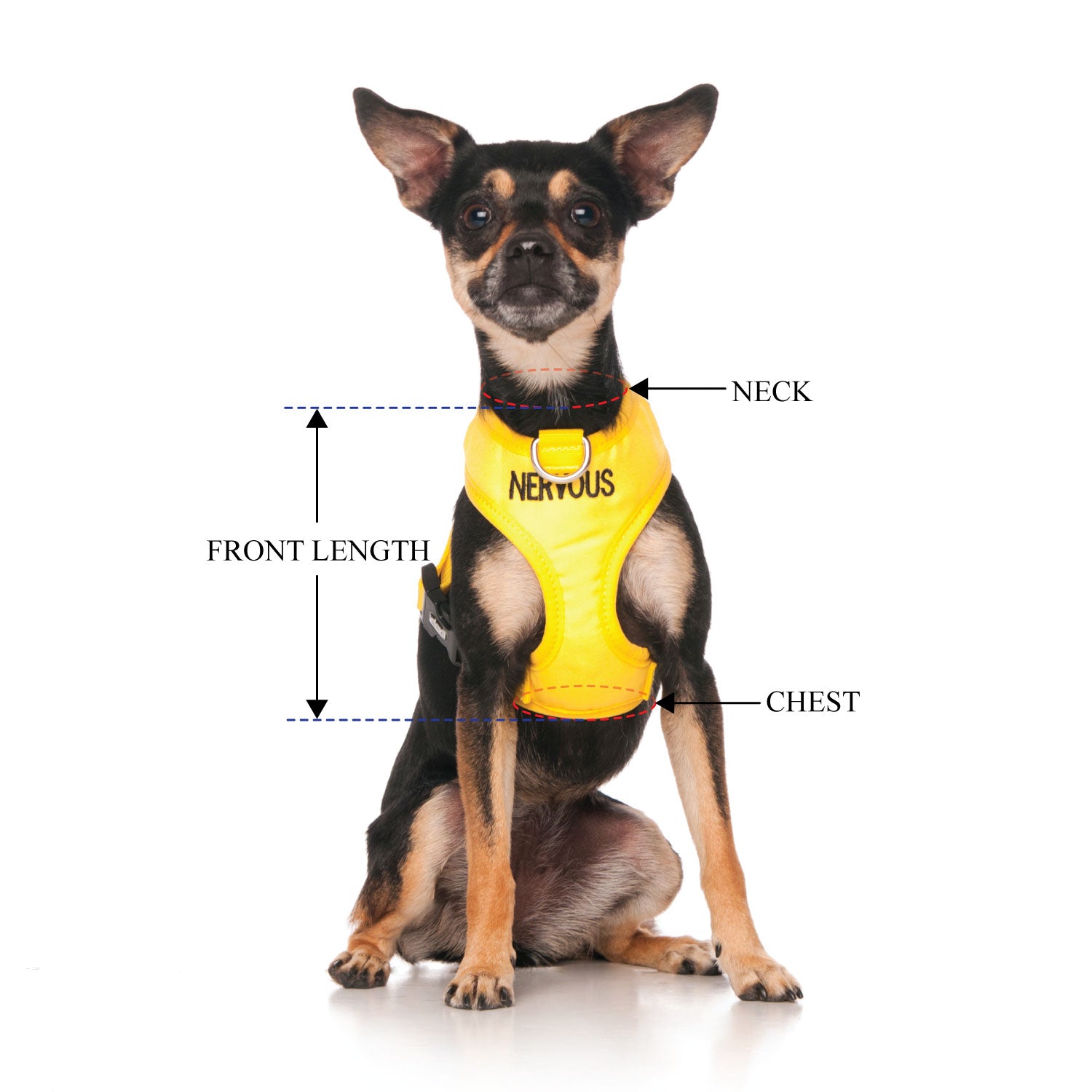 NERVOUS - XS adjustable Vest Harness