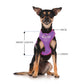 DO NOT FEED - XS adjustable Vest Harness