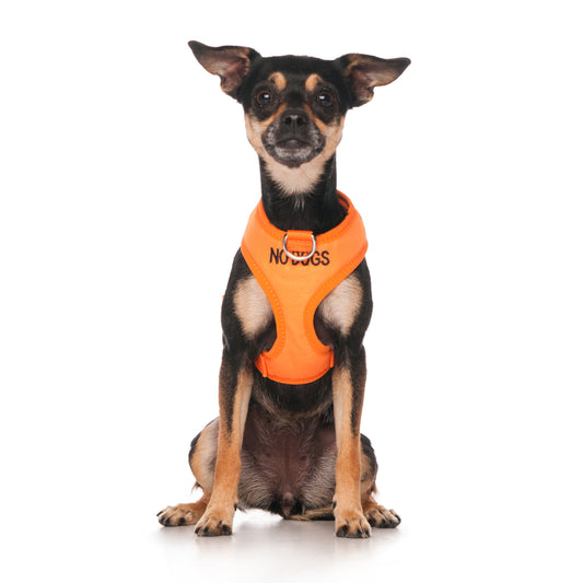 Dexil Friendly Dog Collars orange NO DOGS XS adjustable Vest Harness