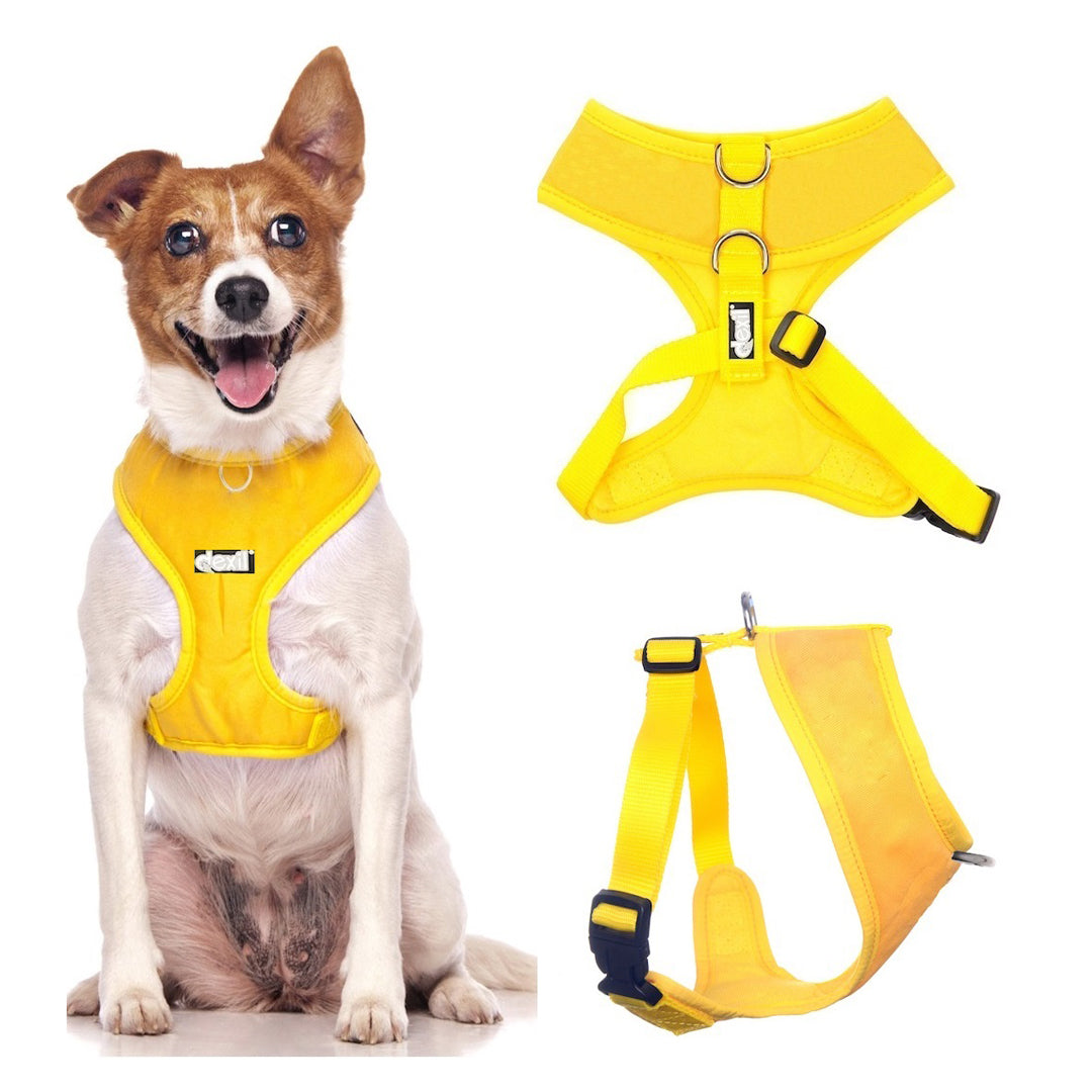 Dexil Yellow Harness