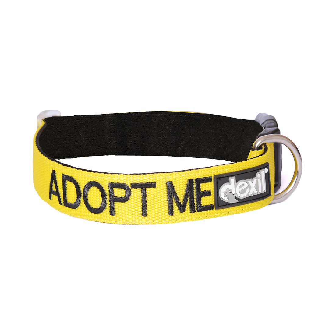 Dexil Friendly Dog Collars ADOPT ME L/XL Clip Collar