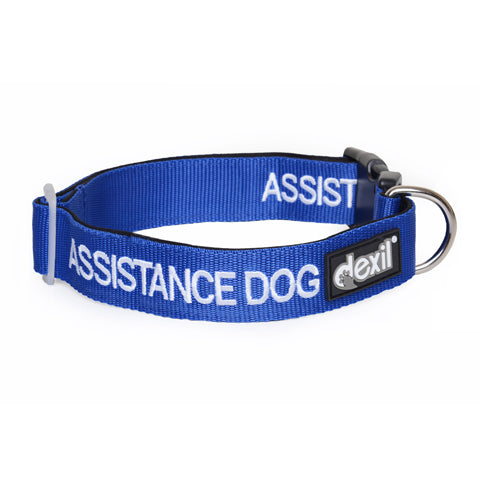 Dexil Friendly Dog Collars Blue ASSISTANCE DOG S/M Clip Collar