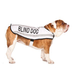 Dexil Friendly Dog Collars BLIND DOG Medium Reflective Dog Coat