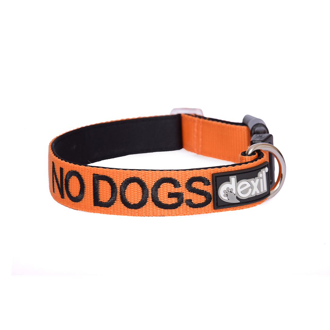 Dexil Friendly Dog Collars orange NO DOGS S/M Clip Collar