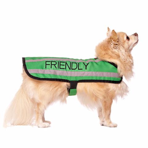 Friendly Dog Collars Green FRIENDLY Small Reflective Coat 
