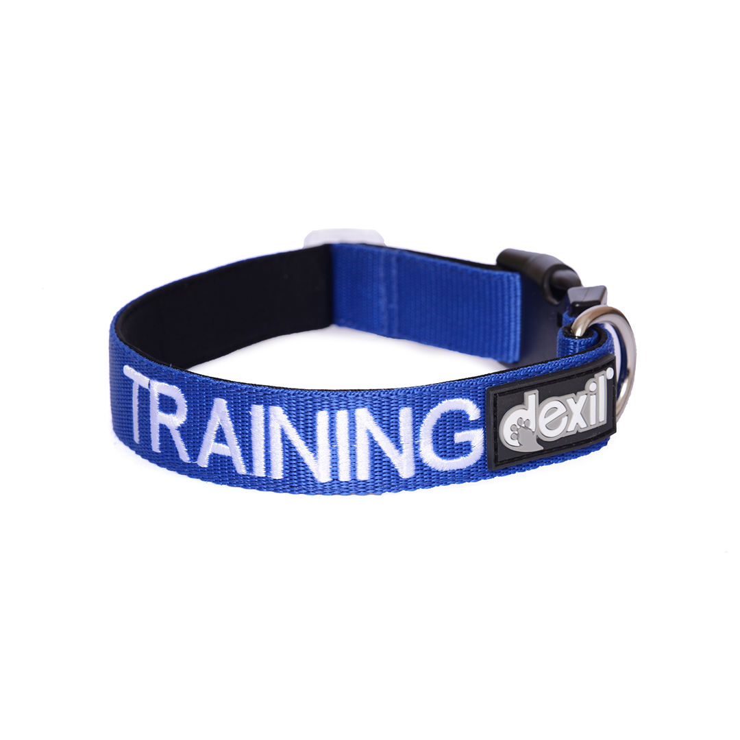 Dexil Friendly Dog Collars TRAINING S/M Clip Collar